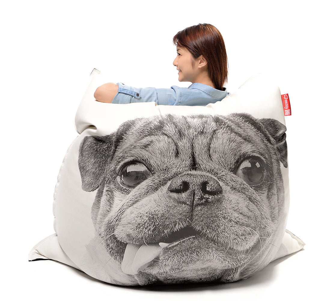 pug bean bag